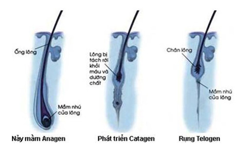 Triệt lông siêu tiết kiệm với công nghệ cao - 3