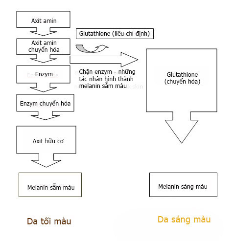 Liệu pháp trị nám chứng minh có hiệu quả - 3