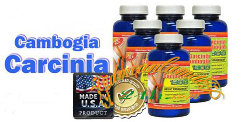 Giảm cân nhanh và an toàn với Garcinia Cambogia - 3