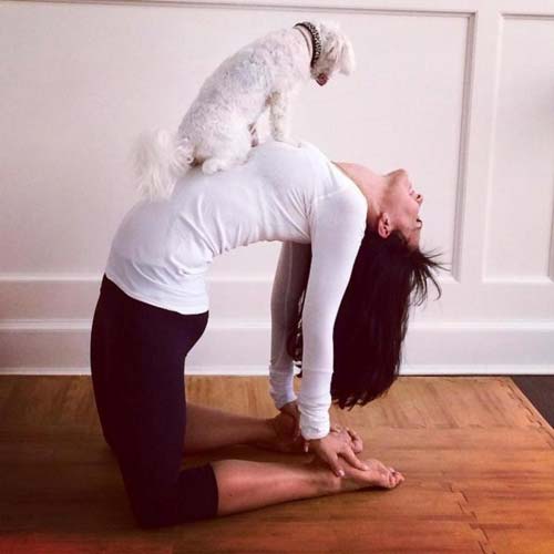 Những tư thế yoga độc đáo của mỹ nhân Hollywood - 6