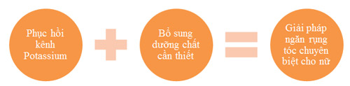 Đi tìm “thủ phạm” gây rụng tóc ở nữ - 3