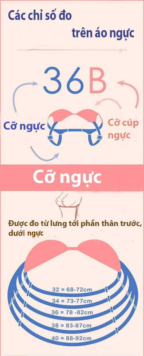 10 mẹo hay về áo ngực mọi cô gái nên biết và cần hiểu - 3