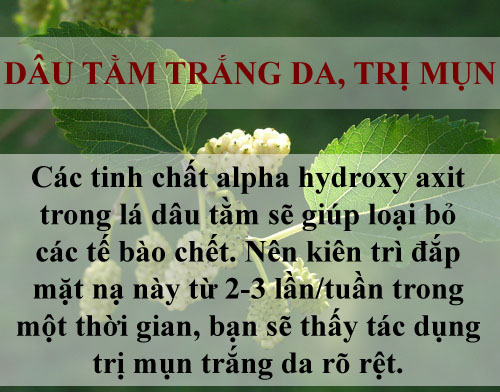 Trị sạch mụn chỉ mất vài nghìn đồng bằng lá cây - 6