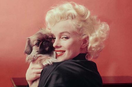 “Vượt mặt” Marilyn Monroe, Cara Delevingne trở thành biểu tượng mới