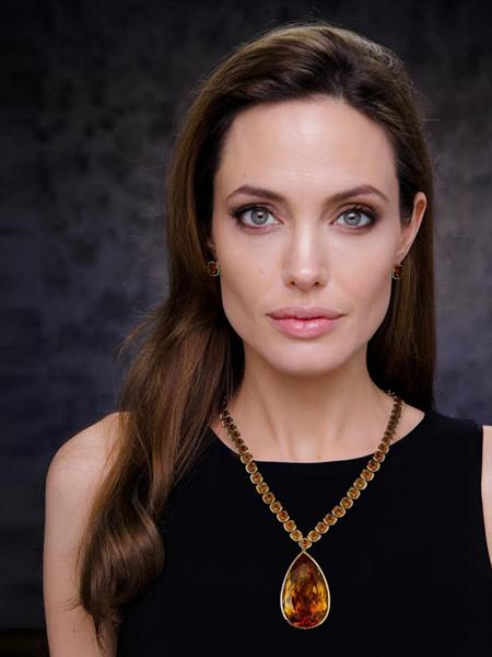 Không chỉ là một tên tuổi xuất sắc của Hollywood, Angelina Jolie còn là một ngôi sao tích cực hoạt động xã hội và là tâm điểm của giới truyền thông mỗi khi xuất hiện. Trong năm qua, dù dính phải vụ ly dị lùm xùm cùng Brad Pitt nhưng danh tiếng của Angelina Jolie vẫn không hề giảm sút.